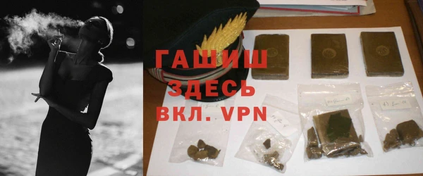 сатива Инта
