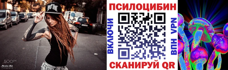 Псилоцибиновые грибы Cubensis  Плёс 